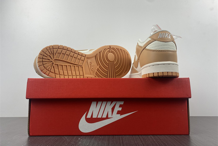 Nike Dunk Low dd1503-114