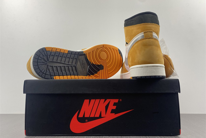 Air Jordan 1 Element DB2889-700