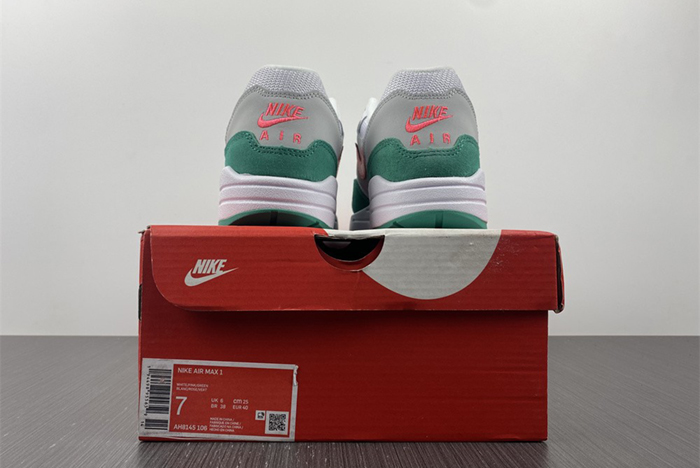 Nike Air Max Anniversary Watermelon AH8145-106