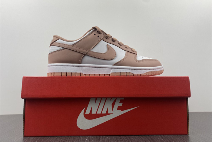 Dunk Low Retro DD1503-118