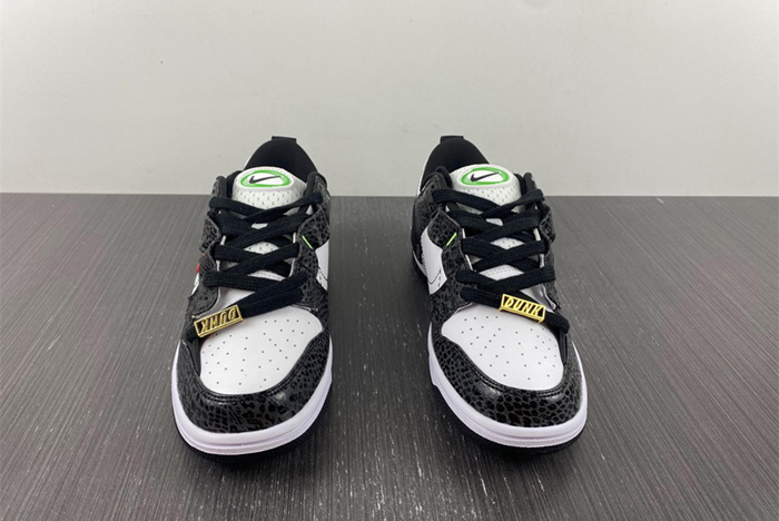 Nike Dunk Low Disrupt 2 DV1490-161