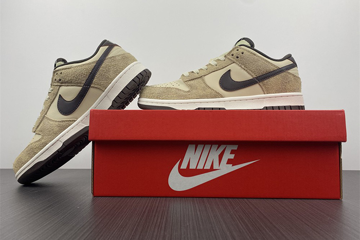 Nike Dunk Low PRM DH7913-200