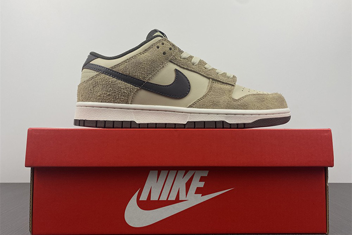 Nike Dunk Low PRM DH7913-200
