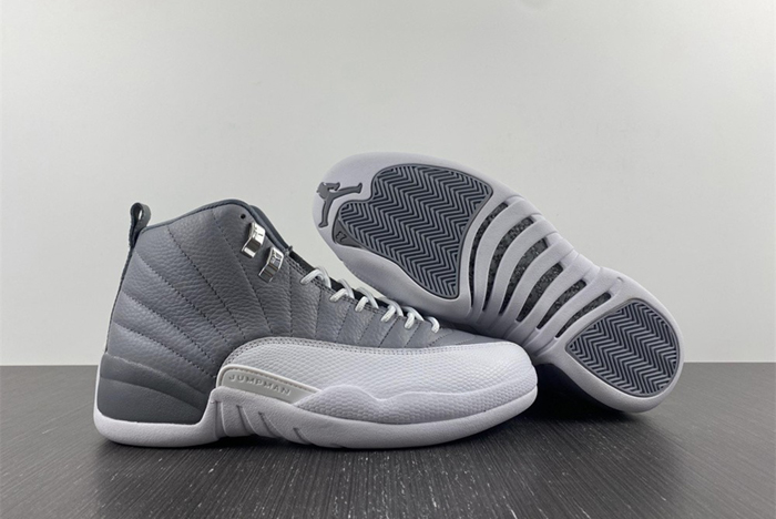 Air Jordan 12 STEALTH CT8013-015