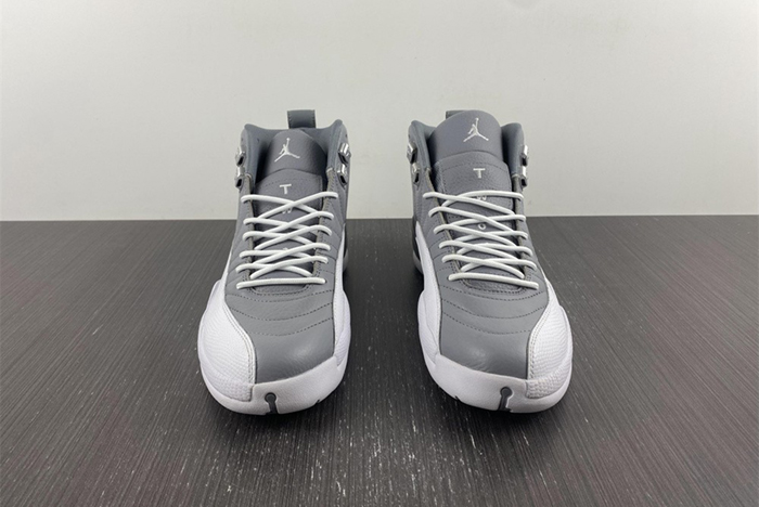 Air Jordan 12 STEALTH CT8013-015