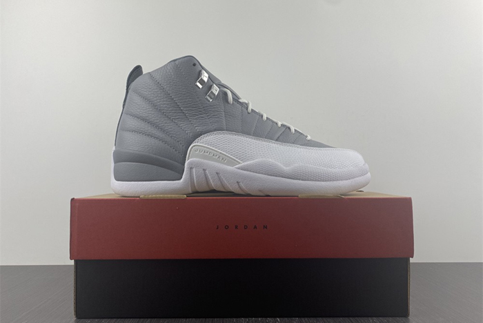 Air Jordan 12 STEALTH CT8013-015