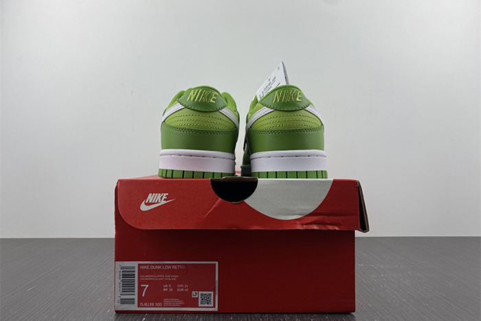 Nike Dunk Low Style Code DJ6188-300