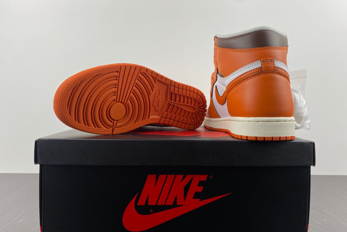 Air Jordan 1 High "Starfish" DO9369-101