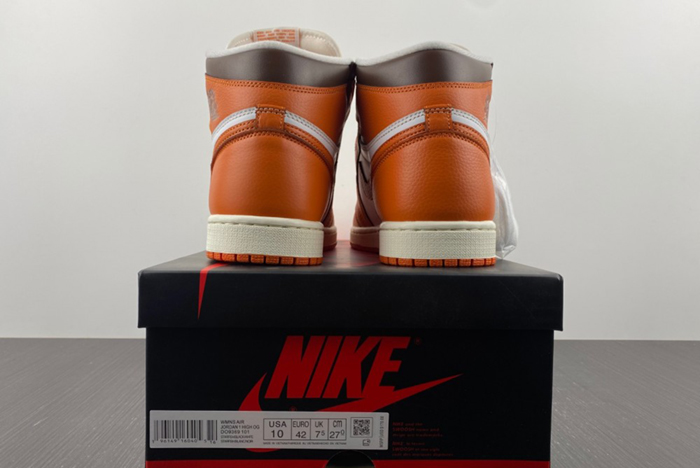 Air Jordan 1 High "Starfish" DO9369-101