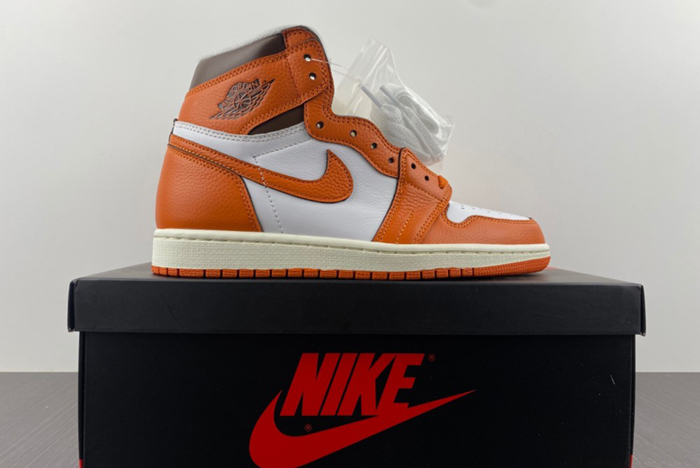 Air Jordan 1 High "Starfish" DO9369-101