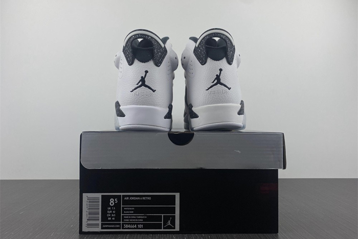 Air Jordan 6 Retro "OREO" 384664-101
