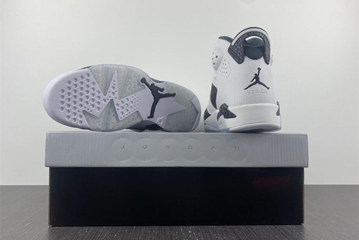 Air Jordan 6 Retro "OREO" 384664-101