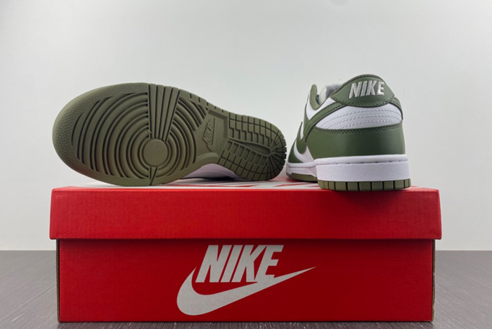 NikeDunk Low DD1503-120