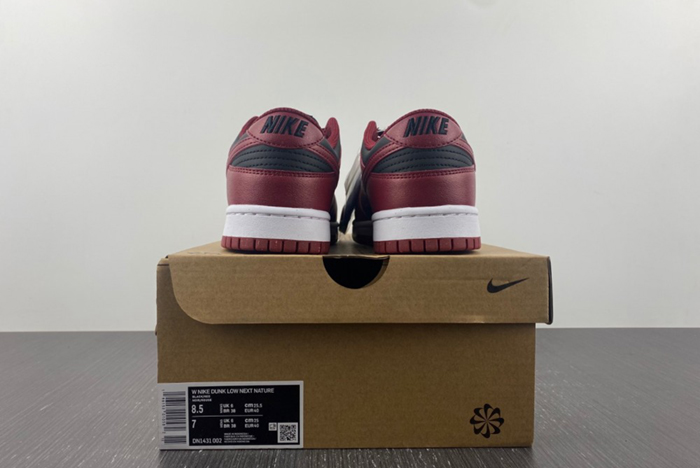 Nike Dunk Low Next Nature DN1431-002