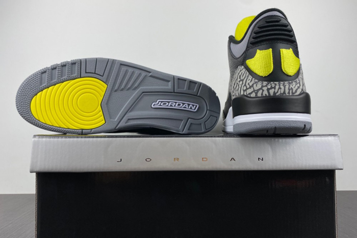 Air Jordan 3 Retro"Oregon Duck" 594-282240