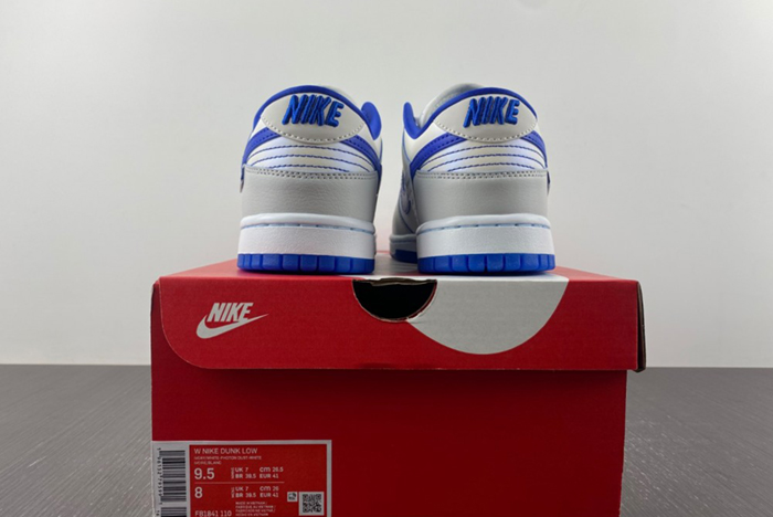 Nike Dunk Low FB1841-110