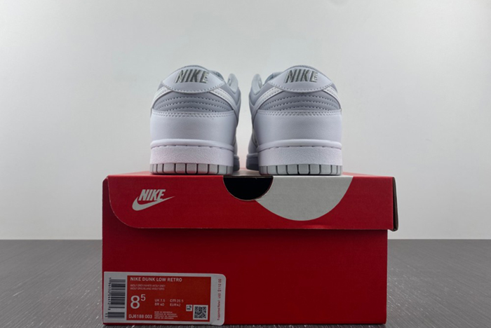 Nike Dunk Low Retro DJ6188-003
