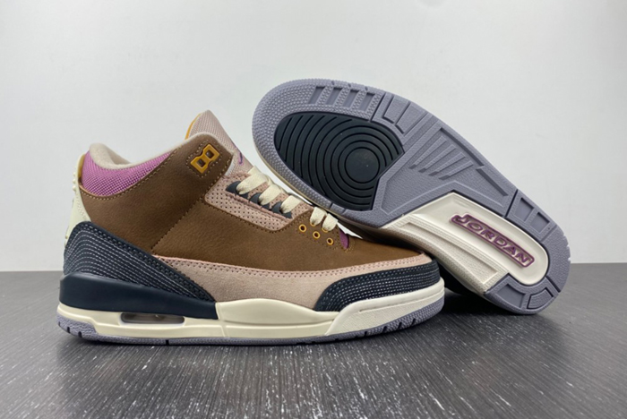 Air Jordan 3 Retro SE "Archaeo Brown" DR8869-200