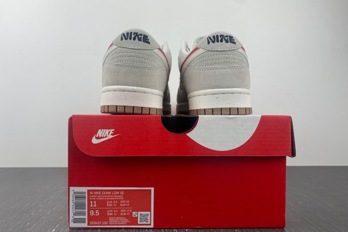 Nike Dunk Low SE “85” DO9457-100red