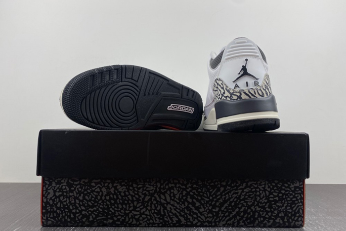 Air Jordan 3 GS “Hide and Sneak” DX6665-100