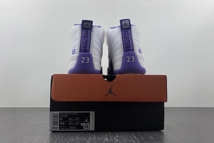 Nike Air Jordan 12 CT8013-150
