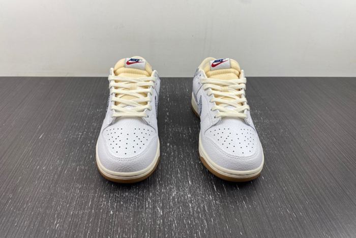 Nike Dunk Low New Americana Washed Denim FN6881-100