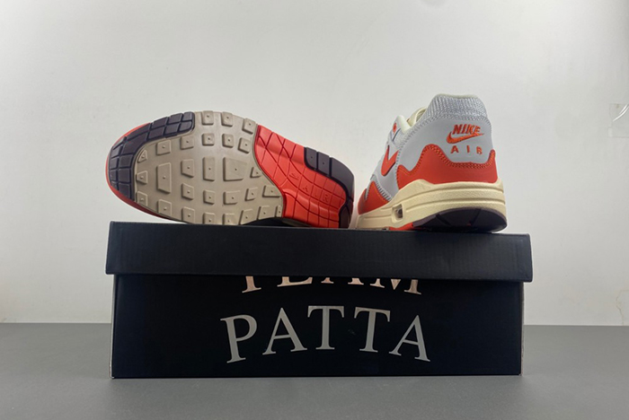 Nike Patta x Air Max 1