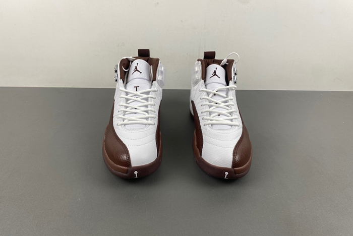 Air Jordan 12 Sole Fly FZ5026-100