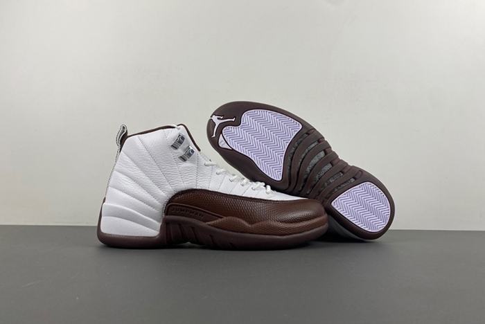Air Jordan 12 Sole Fly FZ5026-100
