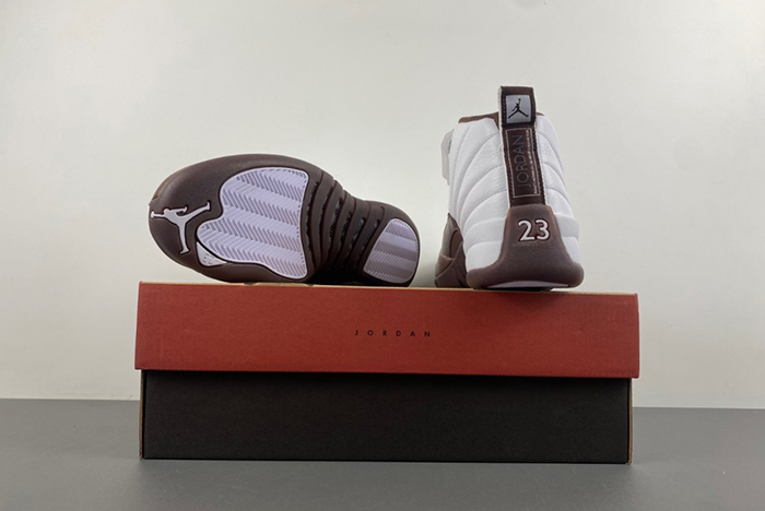 Air Jordan 12 Sole Fly FZ5026-100