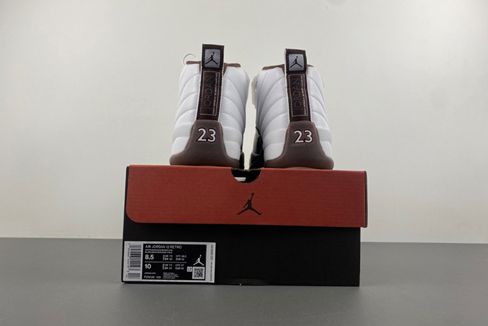 Air Jordan 12 Sole Fly FZ5026-100