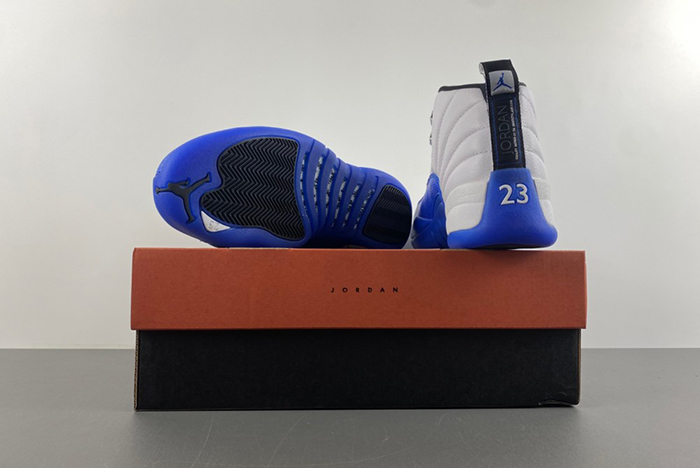 The Air Jordan 12 “Blueberry” CT8013-140b